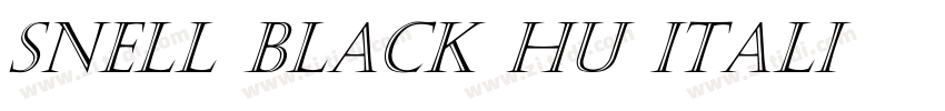 Snell Black HU Itali字体转换